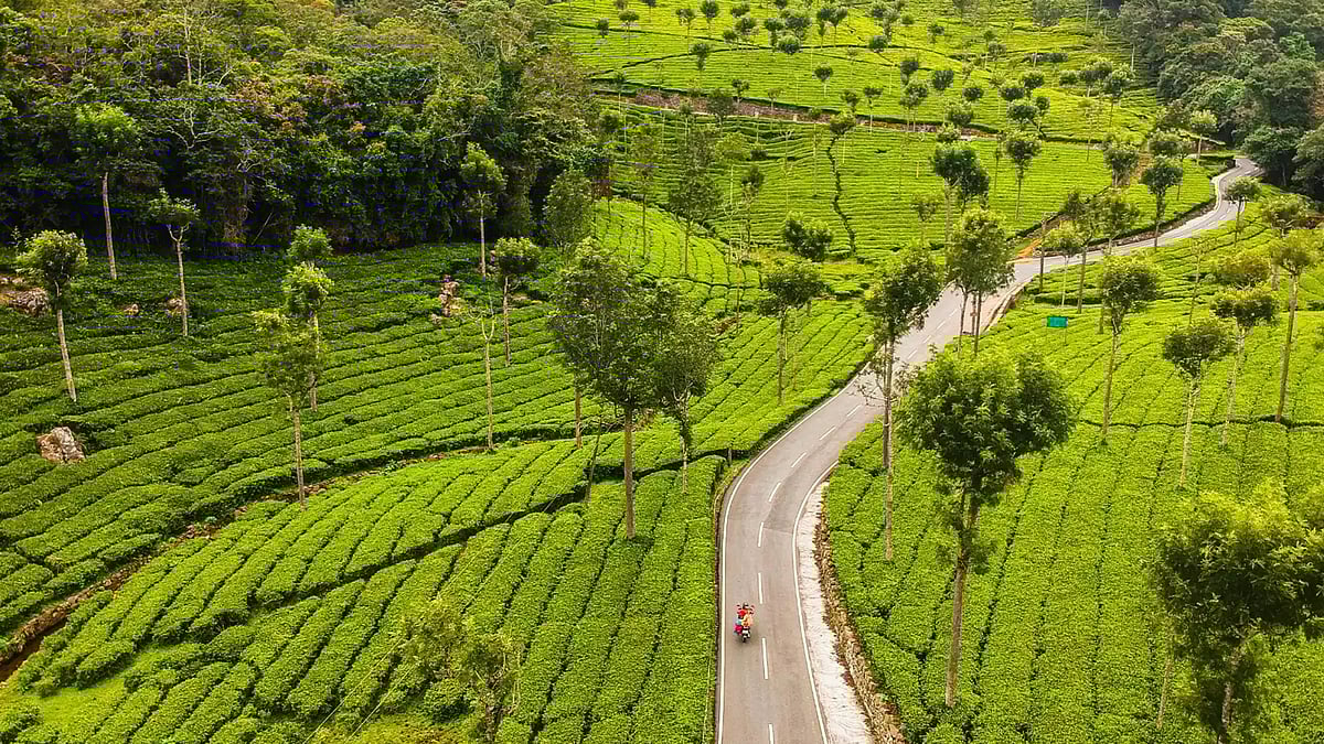 ஊட்டி போறீங்களா... இதை மிஸ் பண்ணிடாதீங்க! - சம்மருக்கு குடும்பத்துடன் செல்ல சூப்பர் ஸ்பாட்!