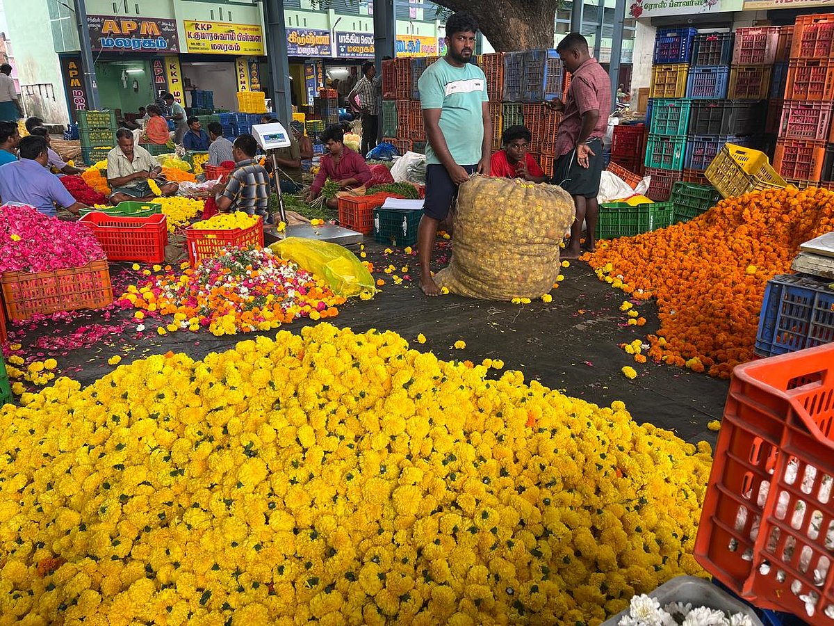பங்குனி உத்திரம்: `செவ்வந்தி, கிரேந்தி' - களைகட்டும் குமரி மாவட்ட தோவாளை மலர்சந்தை | Photo Album