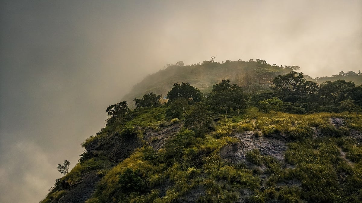 Travel contest : இயற்கையை விரும்புபவர்களுக்கு செம ட்ரீட்... பொள்ளாச்சி ‘டாப்சிலிப்’ போலாமா?