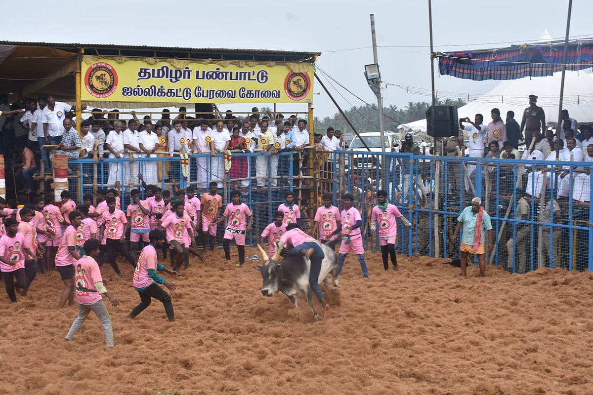 தேசிய கொடியேந்தி வந்த உரிமையாளர், தடுப்பை உடைத்த மாடு - கோவையில் 3 ஆண்டுகளுக்குப் பிறகு ஜல்லிக்கட்டு