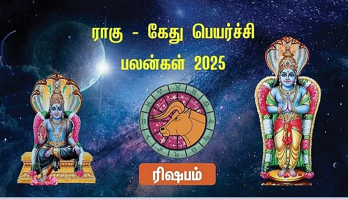 ரிஷபம்: `தொட்டது வெற்றி; தவிர்க்க வேண்டிய ஒரு காரியம்' - ராகு கேது தரும் பலன்கள்  