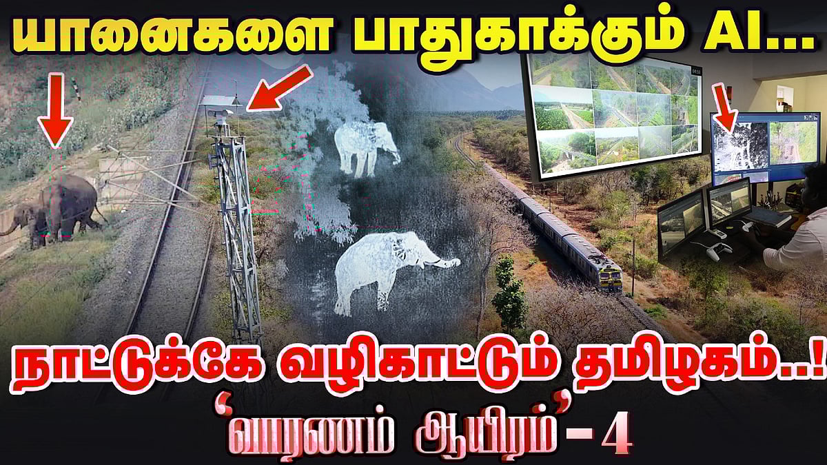Elephant Documentary web series - 4 | சீறிப்பாயும் ரயில்கள், பத்திரமாக தண்டவாளத்தை கடக்கும் யானைகள்