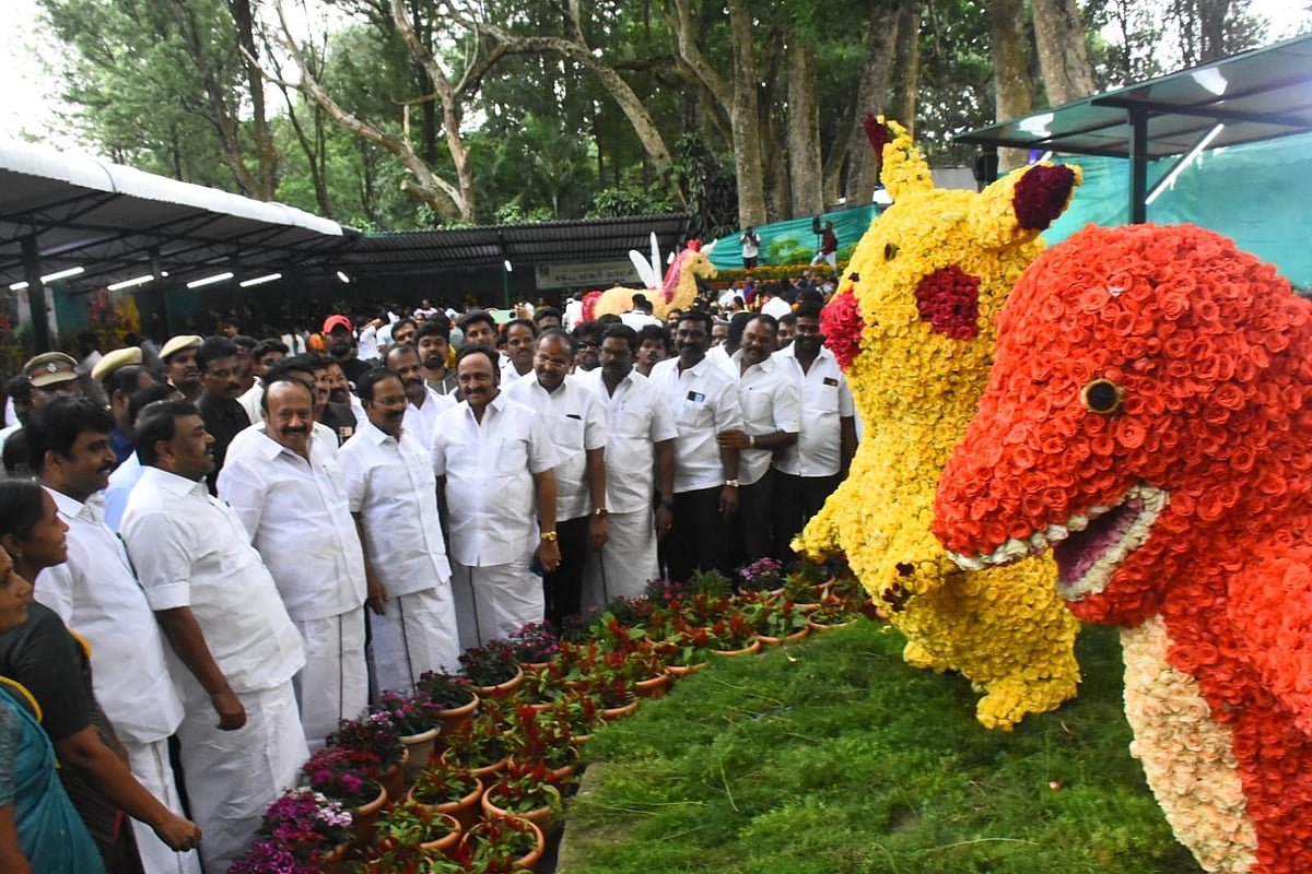 ஏற்காடு: கண்ணை கவரும் மலர்கள்... 48வது கோடை விழா காட்சிகள்!