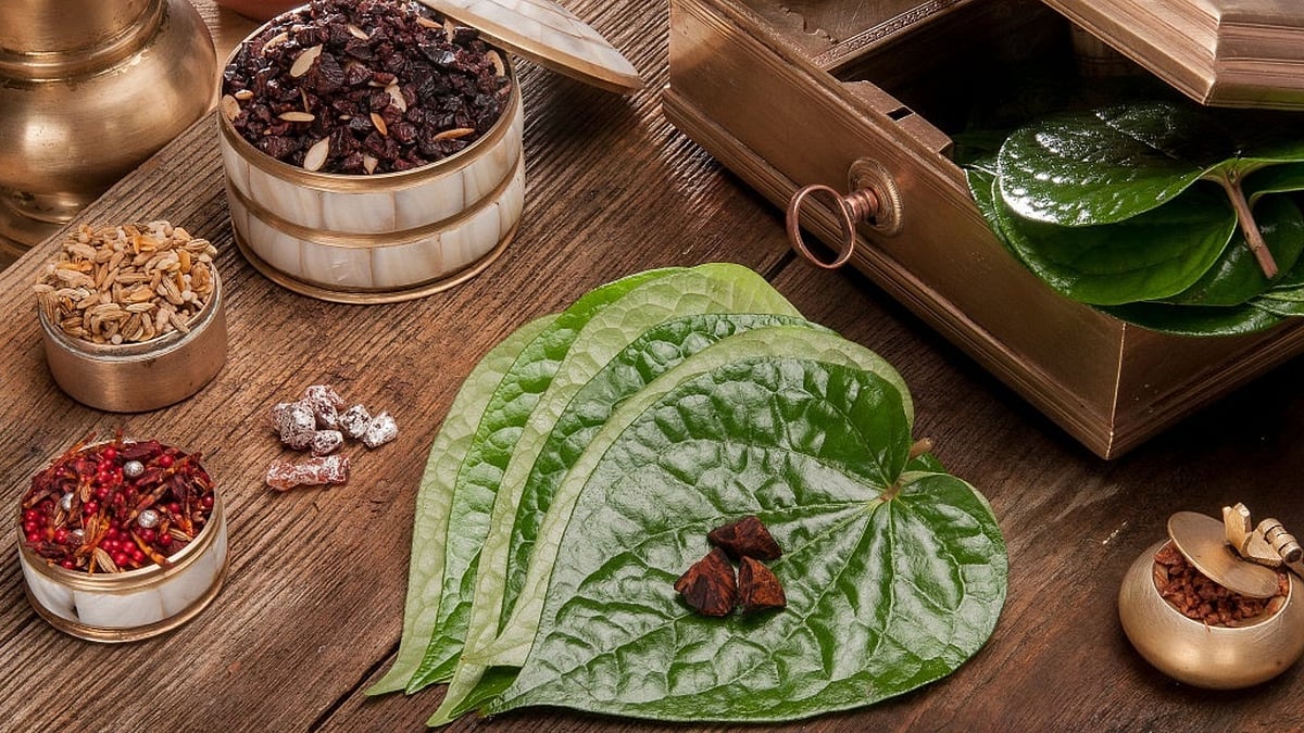 உணவுக்கு பின் சாப்பிடும் ”பான்” கலாசாரம்; இந்தியாவிற்கு வெற்றிலை எப்போது வந்தது தெரியுமா?