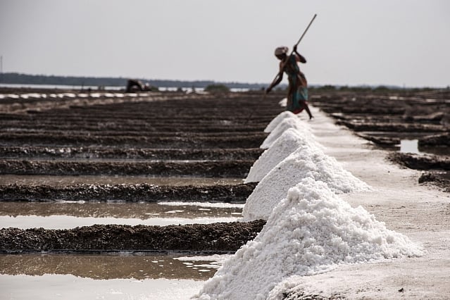 தூத்துக்குடி: 