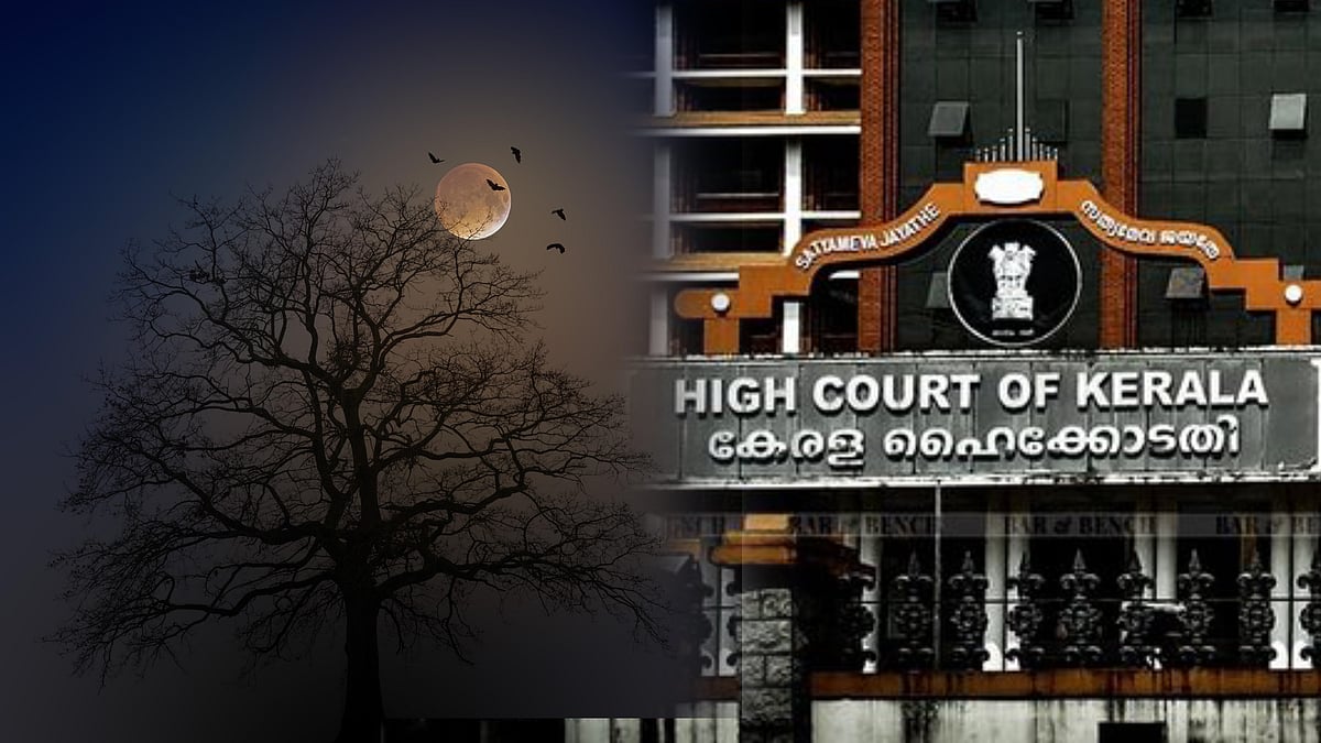 Black Magic: 'சூனியம் போன்ற சடங்குக்கு எதிராக சட்டமா?' - கேரள அரசு தாக்கல் செய்த பிராமணப் பத்திரம்!