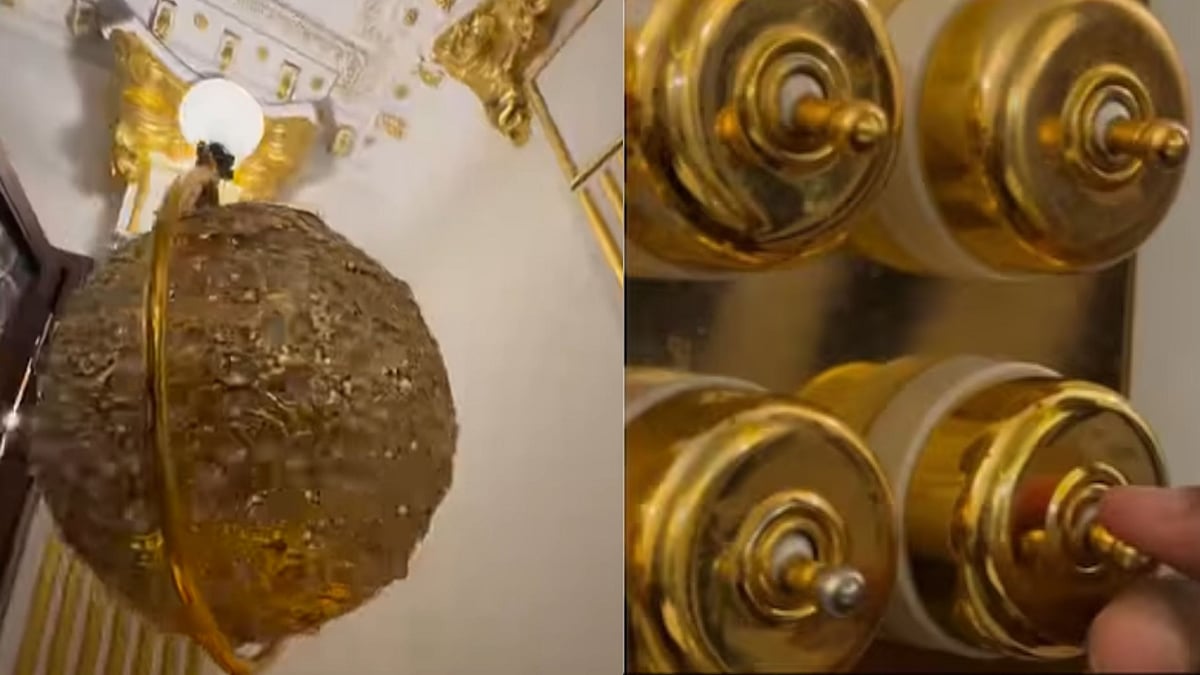 Gold: `கூமாப்பட்டி மாதிரியே இதுவும் வைரல்' சுவிட்ச் முதல் வாஷ்பேஷன் வரை தங்கம் - ஆச்சர்ய வீடு