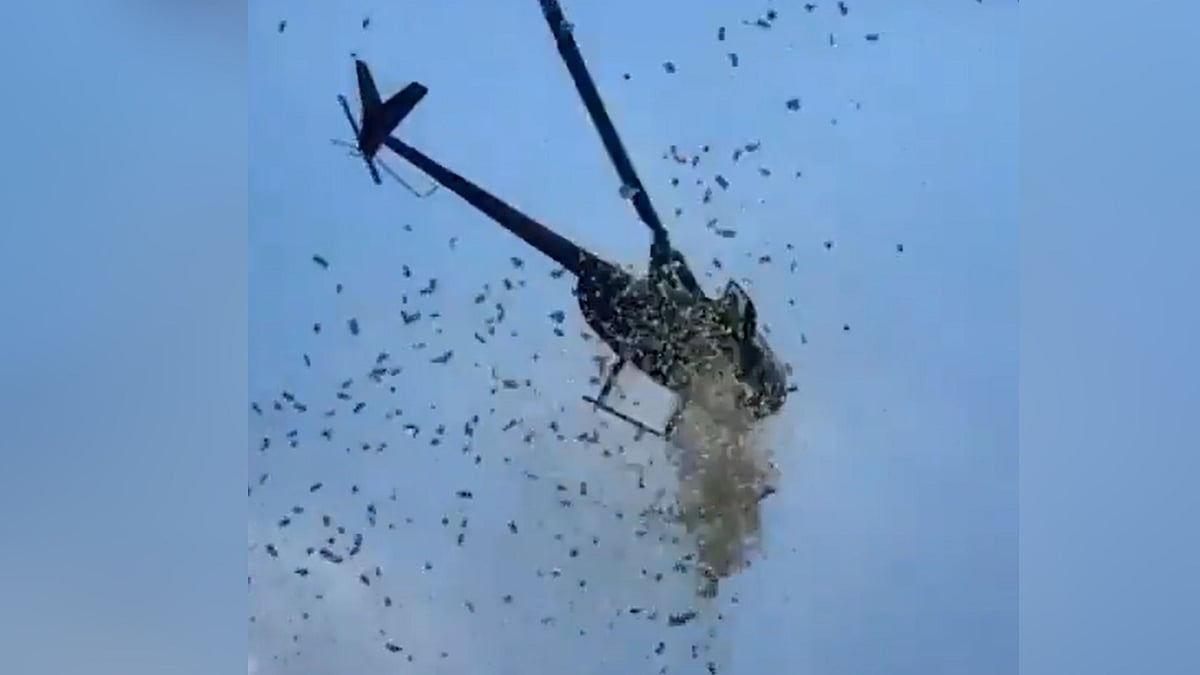 அமெரிக்கா: இறுதிச்சடங்கில் ஹெலிகாப்டரிலிருந்து வீசப்பட்ட டாலர்கள்; வைரல் வீடியோவில் பின்னணி என்ன?