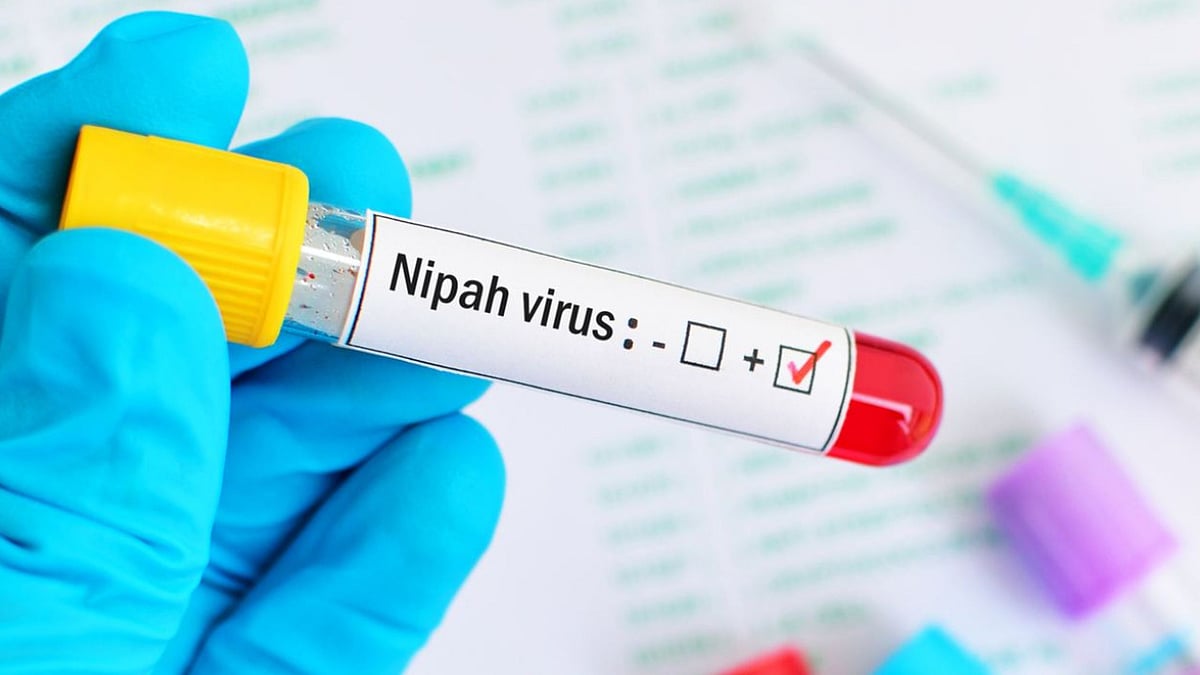 Nipah virus: கேரளாவை மீண்டும் அச்சுறுத்தும் நிபா வைரஸ் - சுகாதார அமைச்சர் சொல்வதென்ன?