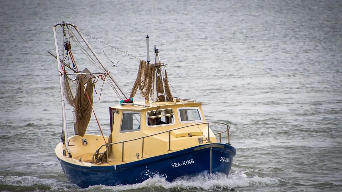 மும்பை அருகே கடலில் அத்துமீறி நுழைந்த பாகிஸ்தான் படகு மாயம்: தேடும் பணியில் ஹெலிகாப்டர்கள்