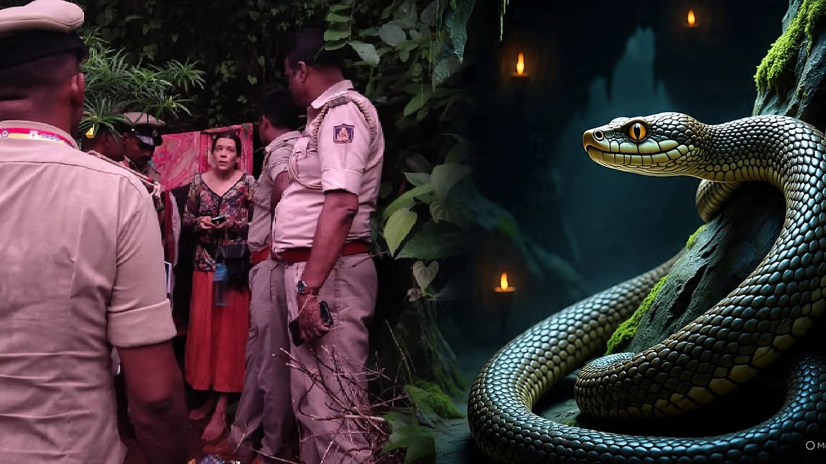 ``பாம்புகள் தீண்டவில்லை, விலங்குகள் தாக்கவில்லை ஏனென்றால்..