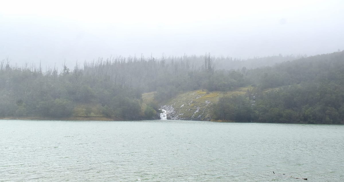 ஊட்டி: மீண்டும் தீவிரமடையும் கனமழை, மூடப்படும் சுற்றுலாத் தலங்கள்! | Ooty Rain update