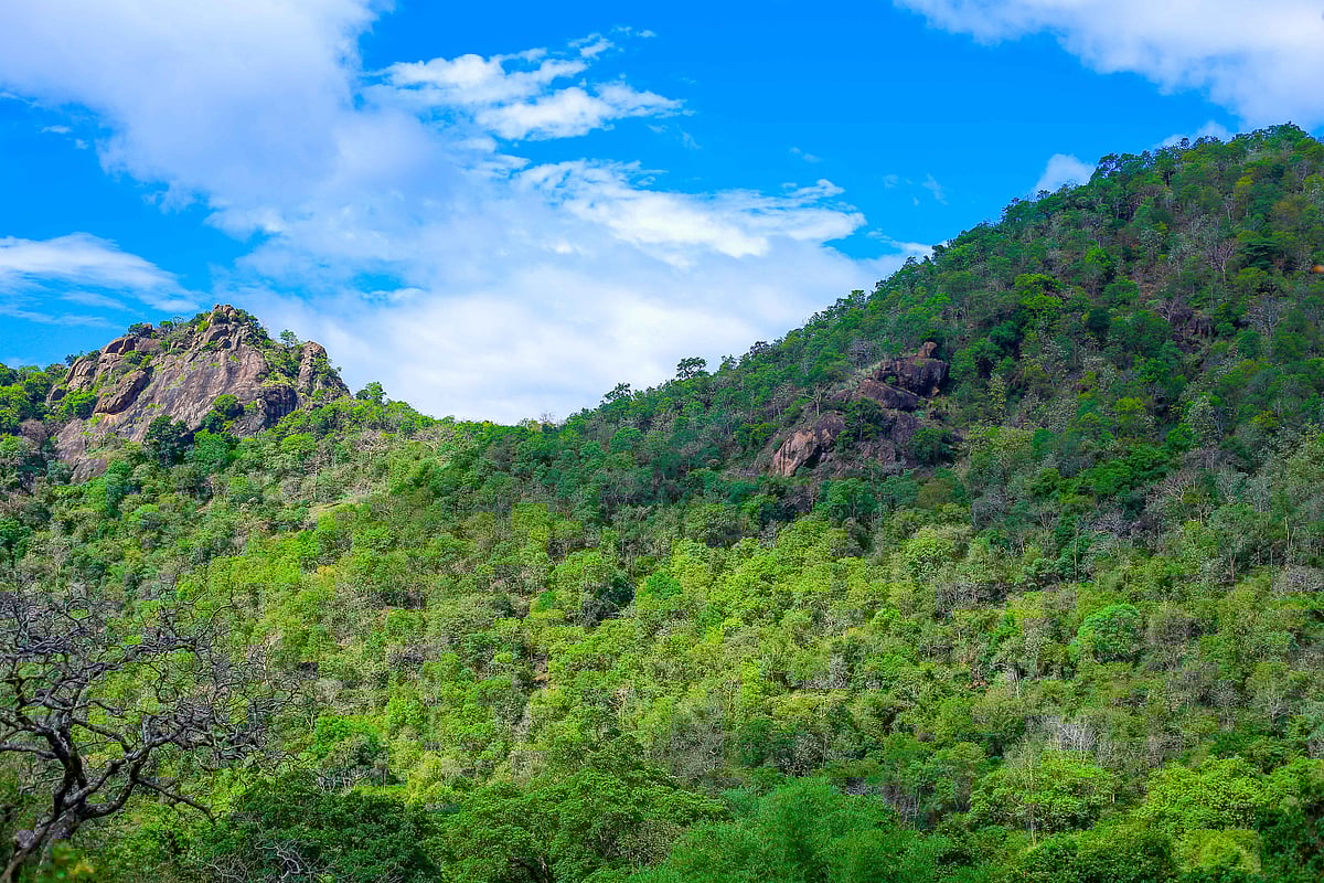 சதுரகிரி: `கொள்ளை அழகு!' - மிஸ் பண்ணவேகூடாத வழித்தடம் | Photo Album