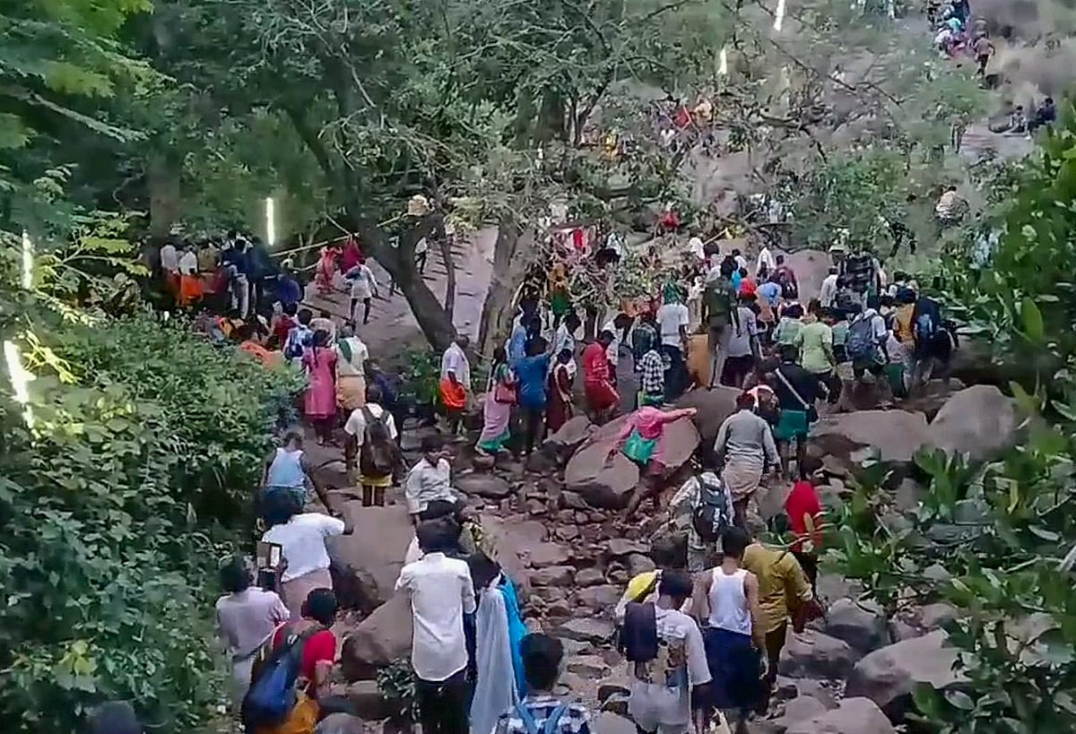 சதுரகிரியில் ஆடி அமாவாசை; ஏராளமான பக்தர்கள் அதிகாலை முதல் மலையேறி சாமி தரிசனம்