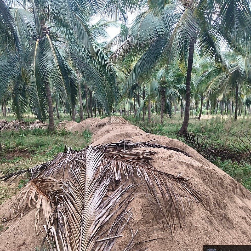 தேனியில் மணல் திருட்டு  விவகாரம் - புகார் கொடுக்கும் உரிமை யாருக்கு? - குழப்பத்தில் அதிகாரிகள்