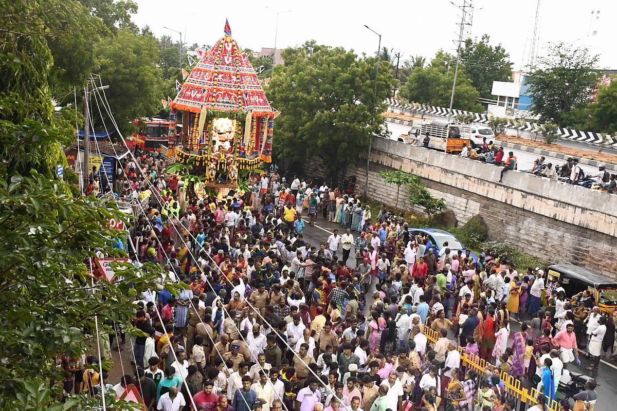 தாடிக்கொம்பு சௌந்தரராஜ பெருமாள் கோயில் ஆடிப்பெருக்கு திருத்தேரோட்டம் | Photo Album