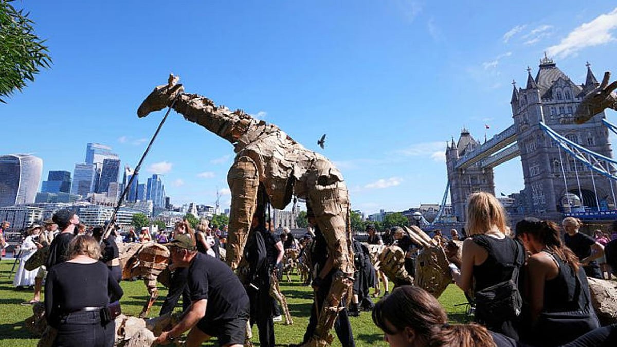 ஆப்பிரிக்கா முதல் ஐரோப்பா வரை: 2000 கி.மீ உலகம் சுற்றும் பொம்மை விலங்குகள் - என்ன காரணம் தெரியுமா?