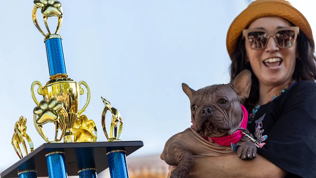 World's Ugliest Dog: `உலகின் அவலட்சணமான நாய்' போட்டியில் ரூ.4.3 லட்சம் பரிசு - ஏன் தெரியுமா?