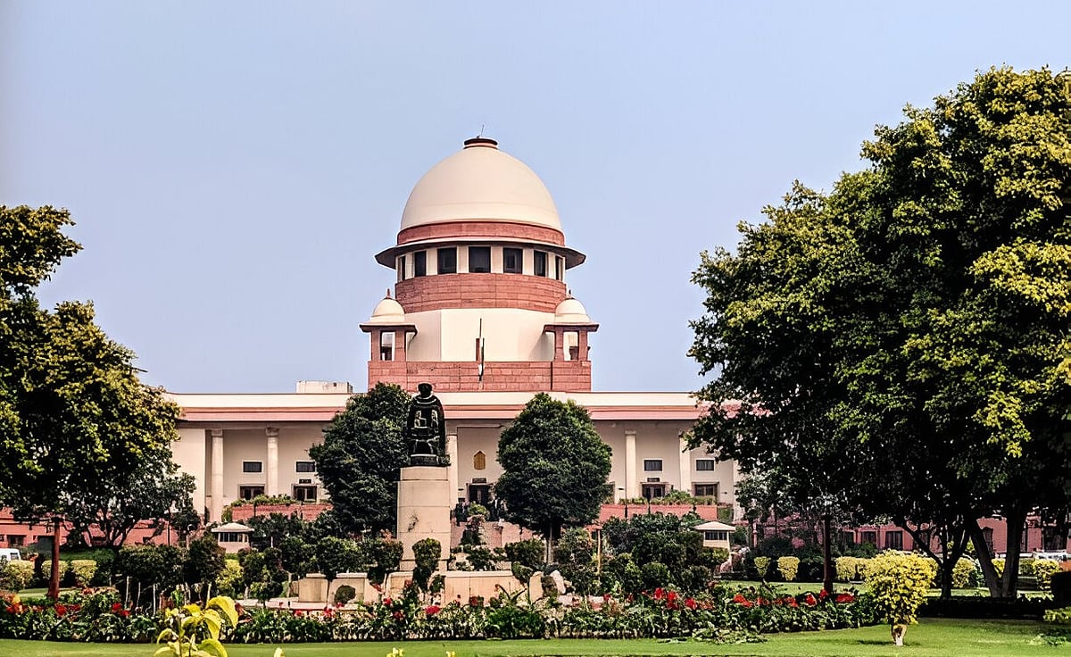 ``தெரு நாய்களுக்கு ஆதரவாக மேம்போக்கான ஆதாரங்களை முன்வைக்காதீர்கள்'' - உச்சநீதிமன்றம் கண்டனம்