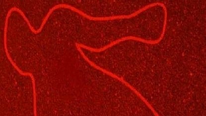 மதுரை: போன் செய்து வரச் சொன்ன கணவர் கொலை; பார்க்கச் சென்ற இடத்தில் அதிர்ந்த மனைவி!