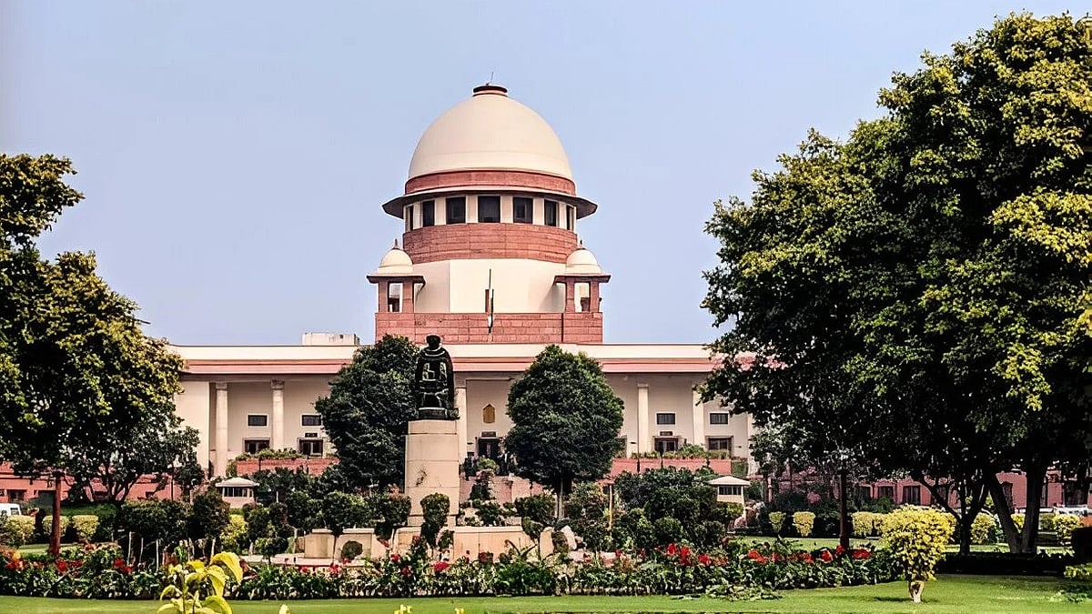 ``தெரு நாய்களுக்கு பொது இடங்களில் உணவளிக்க முழுமையான தடை'' - உச்சநீதிமன்றம் தீர்ப்பின் முழு விவரம்