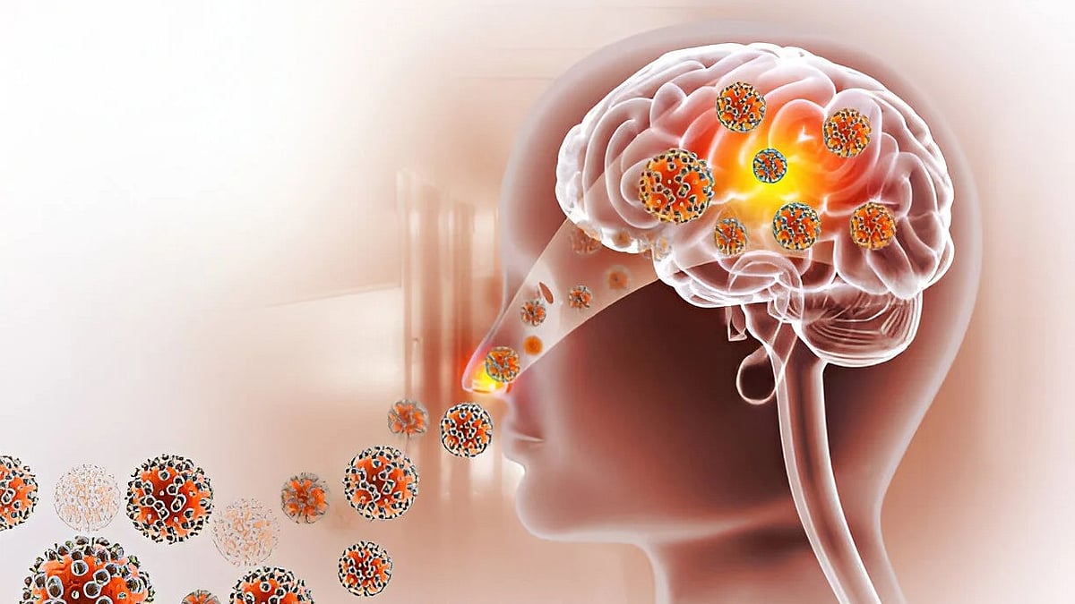 கேரளாவில் மூளை தின்னும் அமீபா : சபரிமலை செல்பவர்களின் கவனத்துக்கு.! - விளக்கும் மருத்துவர்
