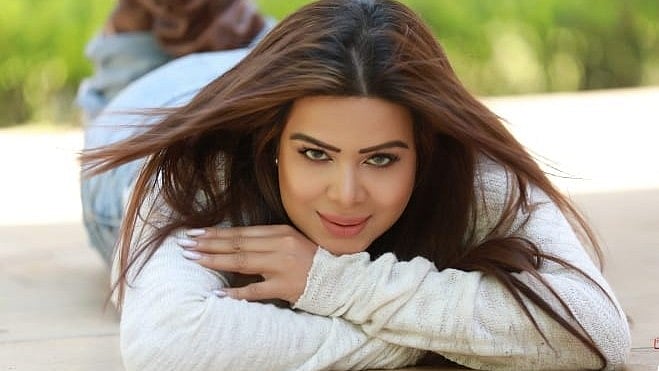 நடிகைகளை பாலியல் தொழிலில் ஈடுபடுத்திய புகார்: காவல்துறையின் வலையில் நடிகை சிக்கியது எப்படி?