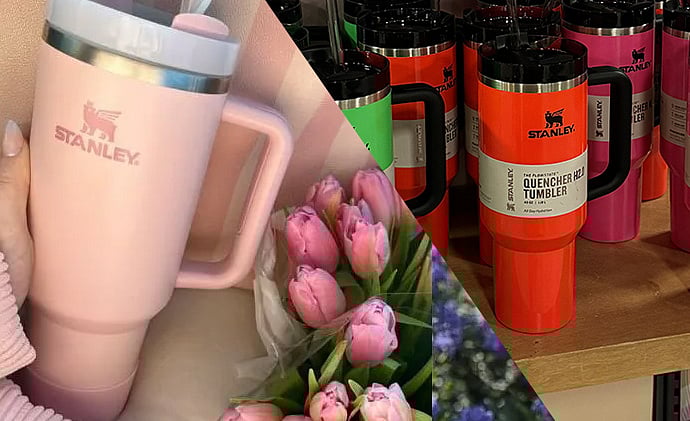 மீண்டும் வைரலான Stanley வகை ஸிப்பர் - ஏன் இது இவ்வளவு ஸ்பெஷல்?