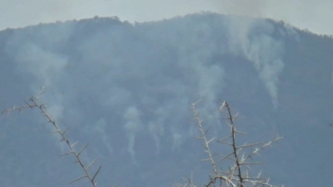 ஸ்ரீவில்லிபுத்தூர் - மேகமலை புலிகள் சரணாலயம் வனப்பகுதியில் 3 வது நாளாக பற்றி எரியும் காட்டுத்தீ