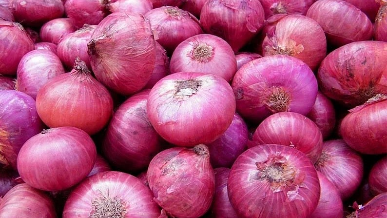 மகாராஷ்டிரா: 'ஒரு கிலோ வெங்காயம் ஒரு ரூபாய்' - வெங்காய விலையின் கடும் வீழ்ச்சிக்குக் காரணம் என்ன?