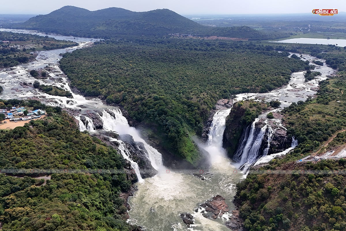 ஆர்ப்பரிக்கும் காவிரி! பிரமாண்டமான இரட்டை அருவிகள்!