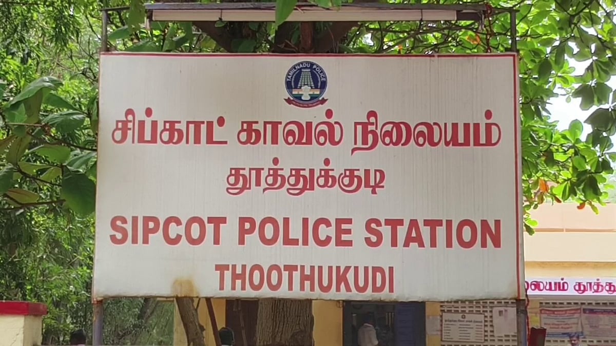 தூத்துக்குடி: `அடிக்கடி குரைக்கின்றன'- குடிபோதையில் நாயை கல்லால் தாக்கிக் கொன்ற வாலிபர்! 