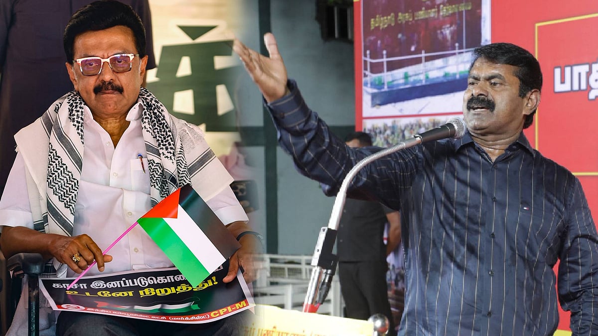 ``காசாவுக்காக  திடீர் கண்ணீர், நன்றாக நடிக்கிறீர்கள்!'' - முதல்வர் ஸ்டாலினை விமர்சிக்கும் சீமான்