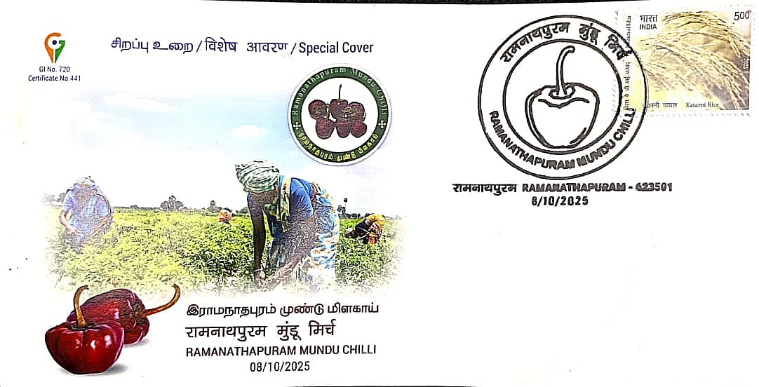 ராமநாதபுரம்: புவிசார் குறியீடு பெற்ற முண்டு மிளகாய்க்கு சிறப்பு உறை வெளியீடு; அஞ்சல் துறை அசத்தல்!