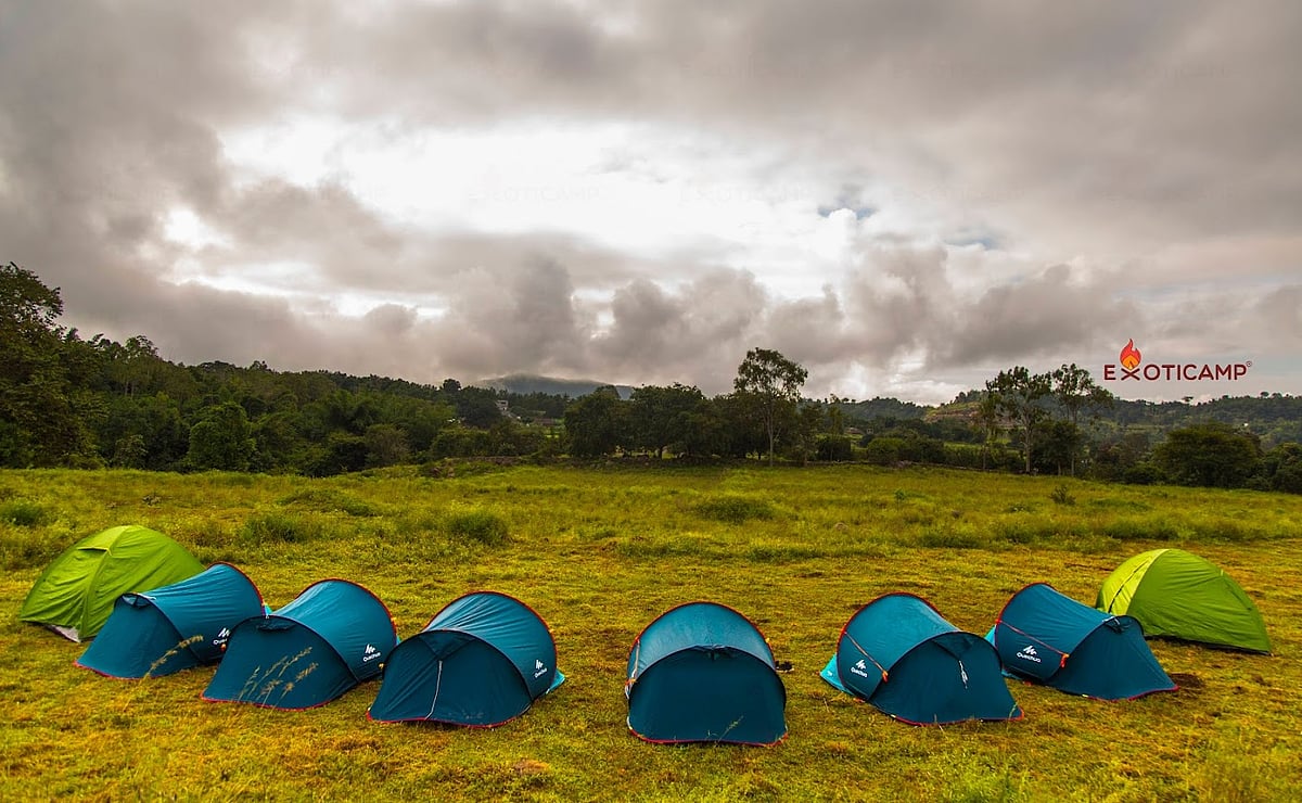 Camping: ரூ.1,500தான்.. பிச்சாவரம், ஏலகிரி... 'கேம்பிங்' - நியூ இயருக்கு இப்போவே பிளான் பண்ணுங்க!