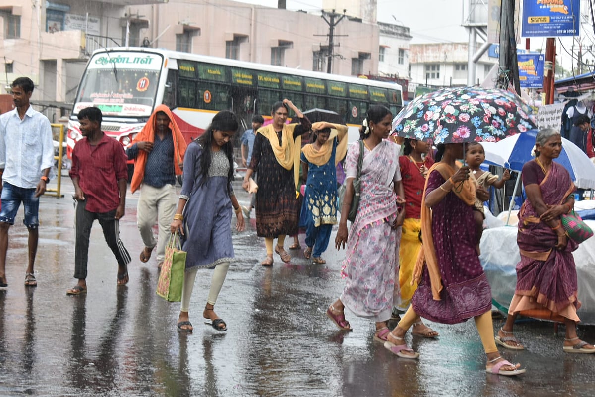 ஈரோடு கடைவீதியில் ஜிலுஜிலு காத்துடன் சாரல் மழை! | Rain Album