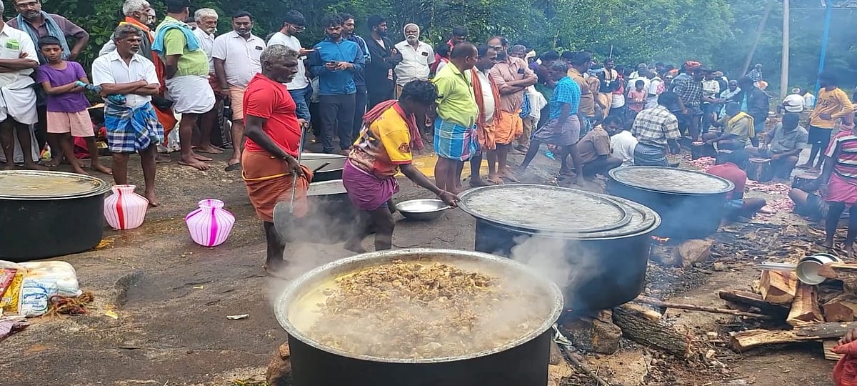  300+ கிடாய்கள்; கறிவிருந்து; ஆண்கள் மட்டும் கலந்துகொண்ட திருவிழா