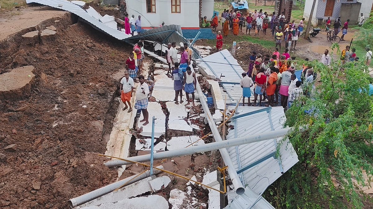 ராஜபாளையம்: கனமழையால் இடிந்து விழுந்த சுவர்; 100-க்கும் மேற்பட்ட ஆடுகள் பரிதாபமாக உயிரிழப்பு