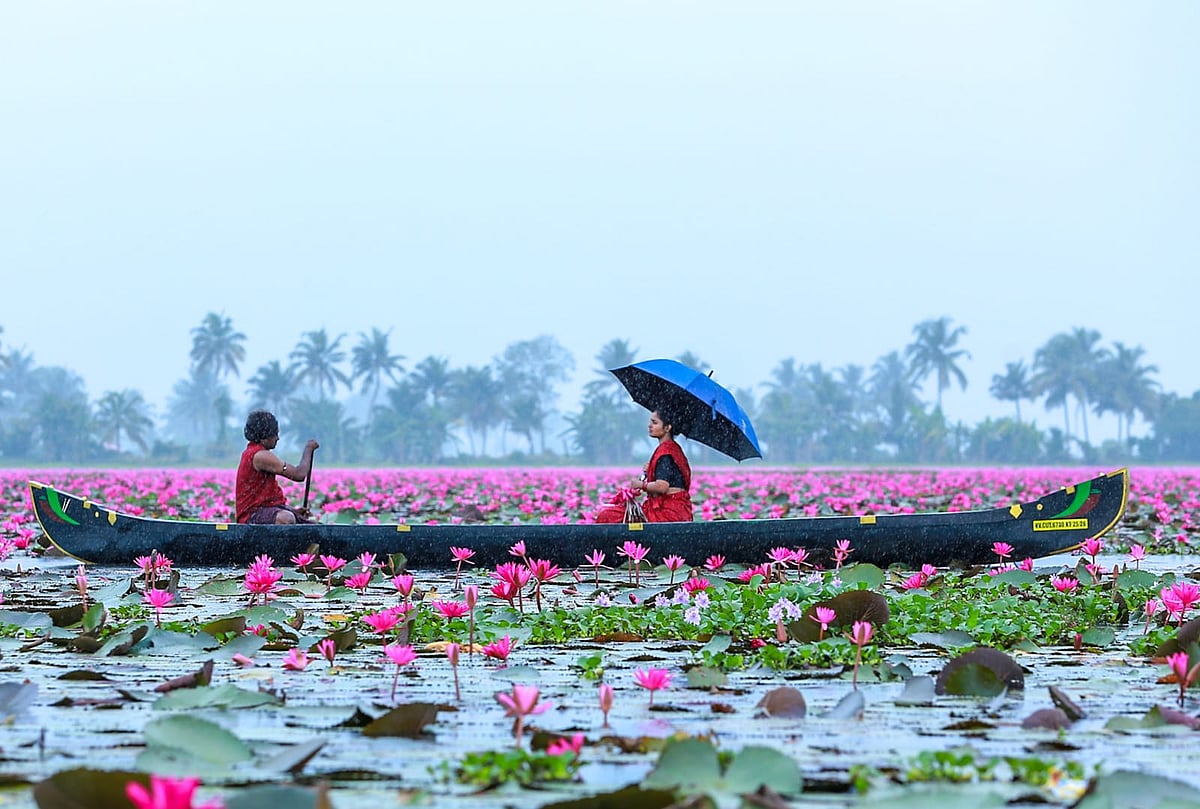 கேரளா: `பூம்பாவாய் ஆம்பல், ஆம்பல்' 
- மனதை மயக்கும் மலரிக்கல் கிராமம் | Photo Album