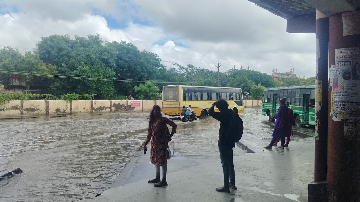 விழுப்புரம்: இரவு முழுவதும் தொடர்ந்த மழை; புதிய பேருந்து நிலையத்தை சூழ்ந்த தண்ணீர்! | Album