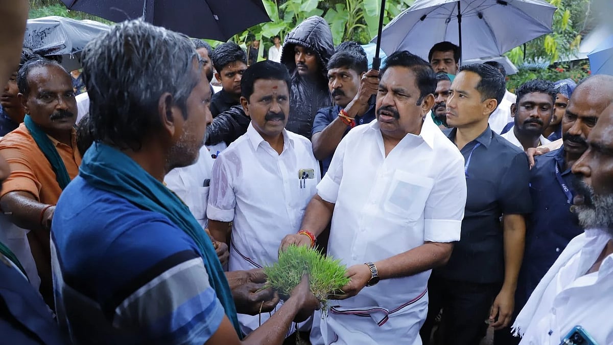 ``நெல் கொள்முதலில் அரசு தவறான தகவலை கூறி விவசாயிகளை ஏமாற்றுகிறது'' -எடப்பாடி பழனிசாமி குற்றச்சாட்டு