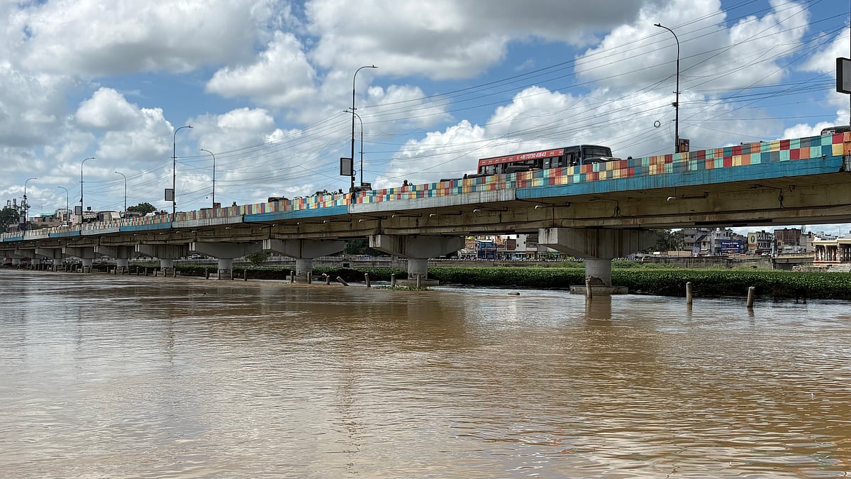 தொடர் மழை: மதுரை வைகை ஆற்றில் நீர்வரத்து அதிகரிப்பு! | Album