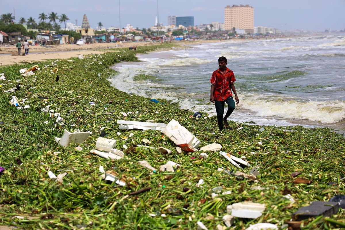 சென்னை: தொடர் மழை:  பட்டினப்பாக்கம் கடற்கரைக்கு அடித்து வரப்பட்ட குப்பைகள்!