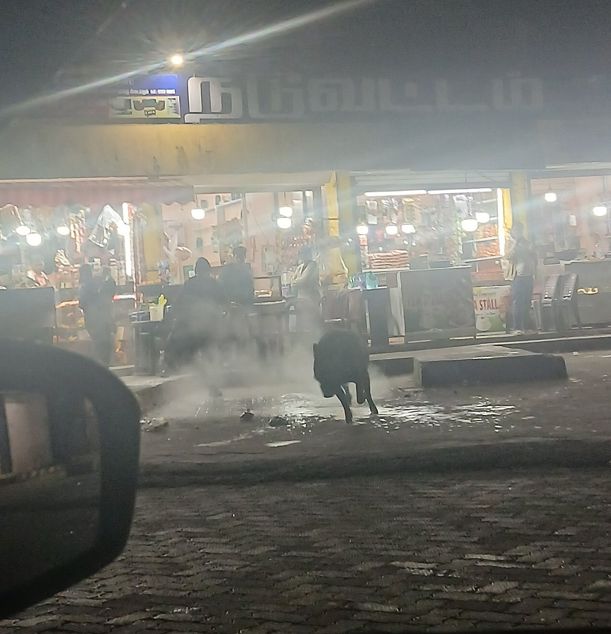 காட்டுப்பன்றிகளை விரட்ட கொதிக்கும் வெந்நீர், இரக்கமற்ற செயலால் கொந்தளிப்பில் ஆர்வலர்கள்