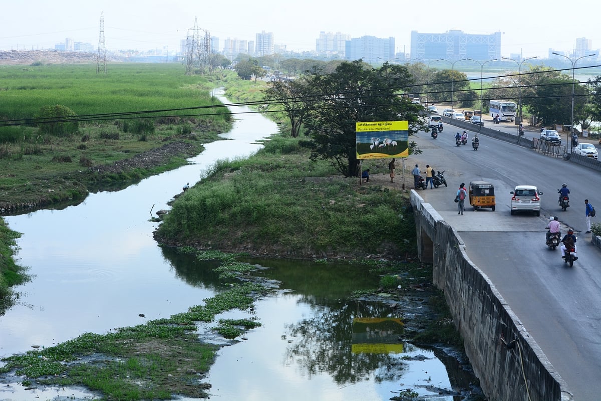 பள்ளிக்கரணை சதுப்பு நிலத்தில் கட்டடம்; அனுமதி வழங்கி துணை நிற்கும் அரசு நிர்வாகம்? - முழு பின்னணி