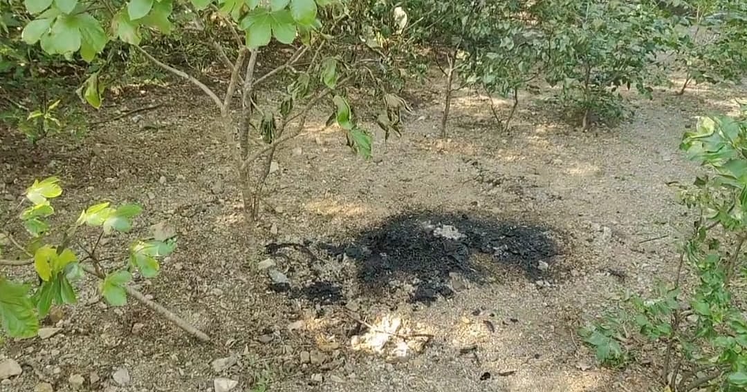 திருச்சி: இன்டர்வியூ-க்கு சென்ற இளம்பெண் எரிக்கப்பட்ட நிலையில் சடலமாக மீட்பு; போலீஸ் தீவிர விசாரணை