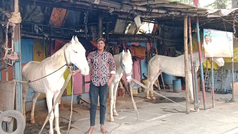 `பழைய மெட்ராஸின் கடைசி எச்சங்களாக எஞ்சி நிற்கும் குதிரை லாயம்’ - சென்னை `ஜட்கா வண்டி’ தொழிலின் நிலை 