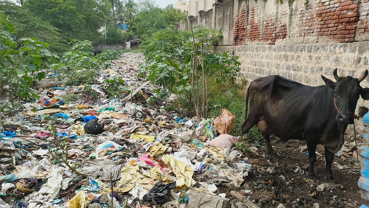 மதுரை: ``குப்பை மேடாக காட்சியளிக்கும் கிருதுமால் நதி; நோய் பரவும் அபாயம்'' - மக்கள் அச்சம்