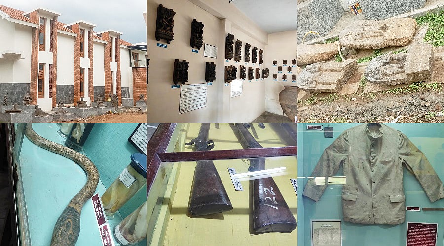 சேலம்: புது பொலிவுடன் அரசு அருங்காட்சியகம்; என்ன ஸ்பெஷல், பார்க்க வேண்டிய அரிய பொக்கிஷங்கள் என்ன?