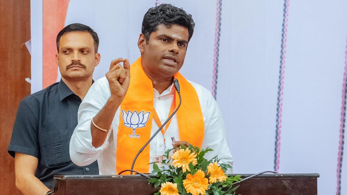 அவதூறு வழக்கு: ``டி.ஆர் பாலுவை குறுக்கு விசாரணை செய்தேன்